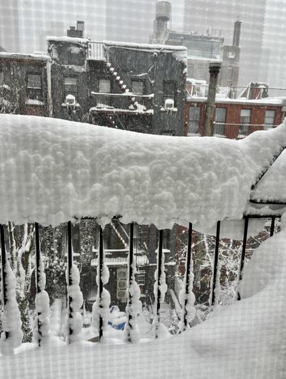 View of my fire escape and buildings across the garden. The snow is piled high on the railing.