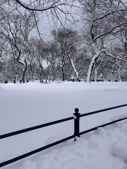A snowy landscape featuring bare trees, a fence in the foreground, and a quiet park scene with a blanket of fresh snow covering the ground. The sky is overcast, adding a serene winter ambiance.