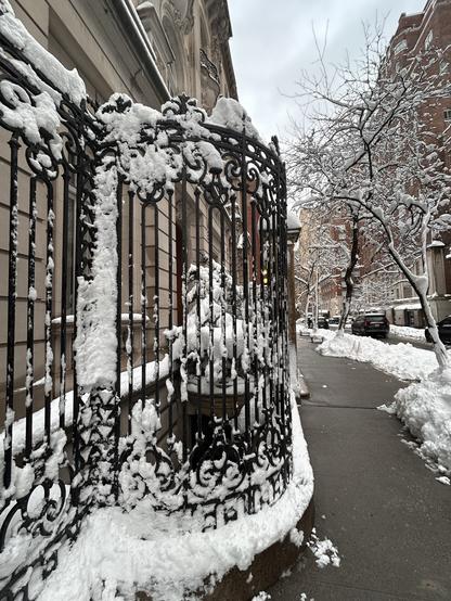 A snow-covered iron gate is seen in front of a building, with snow accumulating on the gate and surrounding sidewalk. Bare trees are visible in the background, and the scene has a muted, wintery atmosphere.