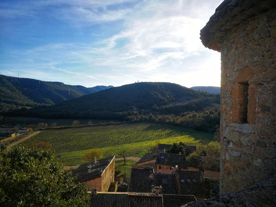 Vue en hauteur depuis le château de Saint Jean de Buèges dans l'Hérault. Au fond des monts recouverts d'arbres. Au milieu des vignes très vertes et des maisons de village avec toitures en tuile ocres typiques. Au premier plan et tronqué : une petite tour du château