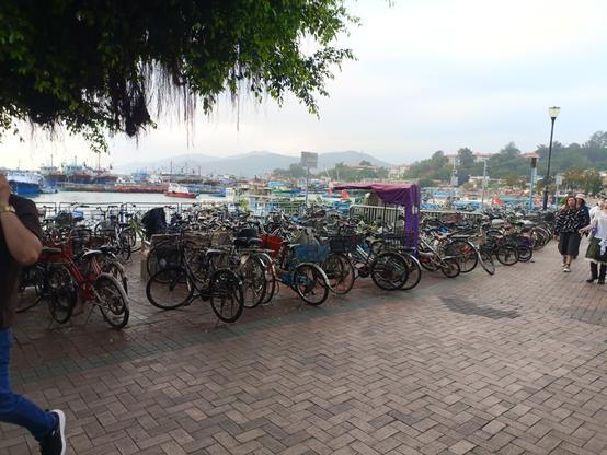 Hundreds of bicycles next to the shore