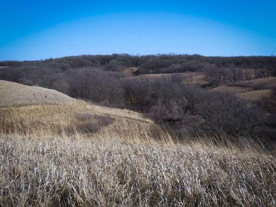 One of a series of photos taken at a Minnesota state park in very early spring, featuring dry tall grasses, leafless deciduous forests, guiding signs for hikers, and half-frozen waterways.