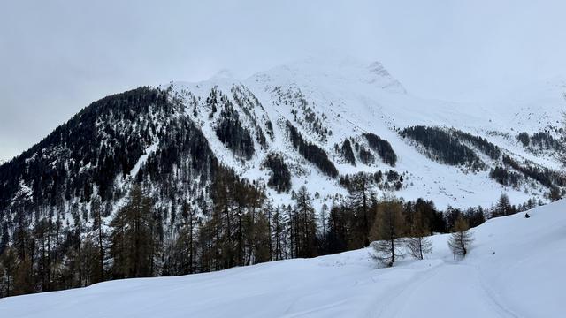 View across a snowy field with a few lone trees towards the snow-peaked and partially forested Piz Chapisun on the opposite side of Val Tuoi from me (photo taken from Clüs above Guarda).