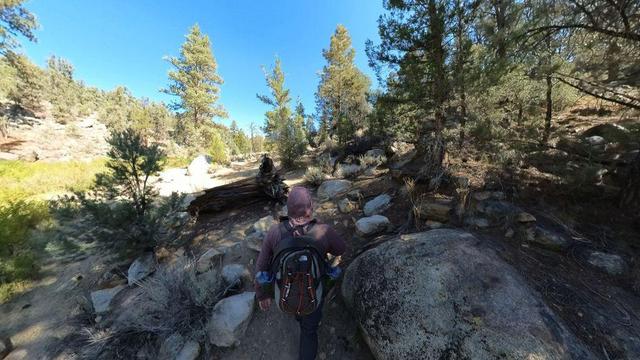 One of a series of clear-blue-sky summertime photos showing a person hiking through the South Sierra Wilderness in central California. The dry, rocky, mountainous terrain features pinyon pine and juniper woodlands, and the occasional cactus.