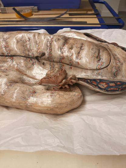 A zoological model in the process of being restored.