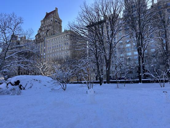 A snowy landscape featuring snow-covered ground and trees, with a few snowmen in the foreground. In the background, historic buildings rise against a clear blue sky.