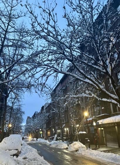 Midtown Manhattan co-ops and condos, trees covered with snow, piles of snow on parked cars.