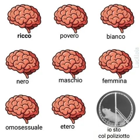 Nel disegno, dei cervelli identici con sotto ad ognuno una scritta che lo identifica:
. ricco
. povero
. bianco
. nero
. maschio
. femmina
. omosessuale
. etero
Nell'ultima immagine un criceto in una ruota.
Sotto a questo la scritta: "io sto col poliziotto".