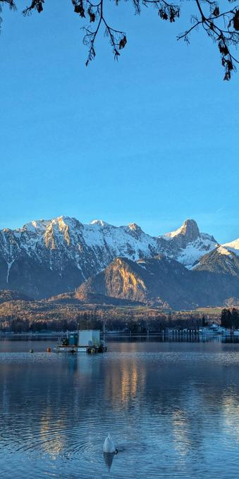 A lake, snowy mountains in the background, partly lit by the raising sun. There is a floating platform on the lake with a temporary toilet box.