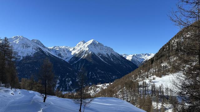 Views of snow-capped peaks of Piz Giarsinom and Piz Mezdi on a blue sky sunny day taken from a little ways up Val Tuoi.