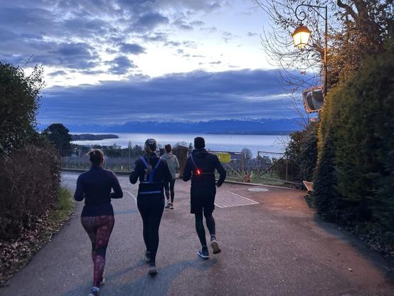 View of the Alps and the Léman During a Run