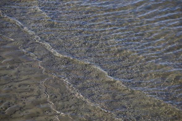 Shallow waters coming in over dark beige sand and tiny rocks at a shore. There are small wavelets and ripples in two different directions crossing each other, and many ripples and eddies over the submerged and uneven sands underneath. Many complicated ripple shapes in the water are highlighted by sunlight above which sharpens and defines them. Toward one side of the photo there  are wide ripples also tinged with blue light, reflections of the sky.