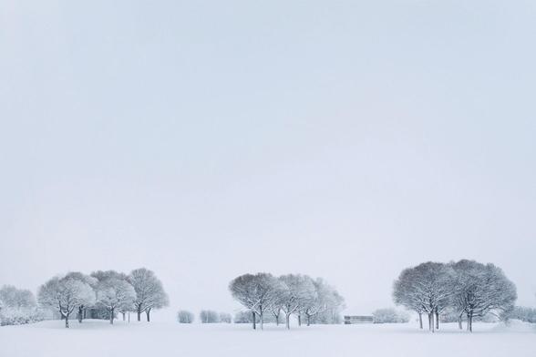 Snowy landscape with some trees