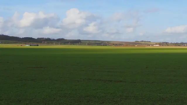 Sonnenbeschienene Felder