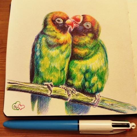 Ballpoint pen sketch of two lovebirds, sitting on a branch