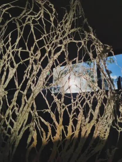 Lichen inspired textile art