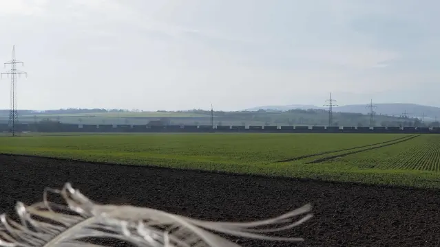 Grüne Felder, am Horizont ein Zug mit vielen LKW-Pritschen