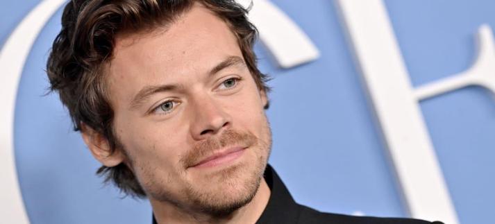 Harry Styles regresa al escenario / Axelle/Bauer-Griffin