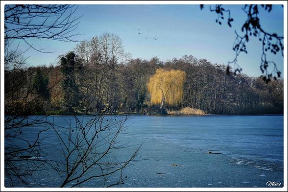 Bildbeschreibung: 
Blick auf den noch mit Eis bedeckten Ostorfer See.