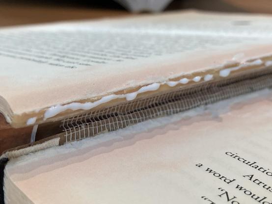 PVA glue has been applied to the back side of the pages, where they will be re-attached to the spine. Globs of PVA glue hang off of the edge of the paper hunk.