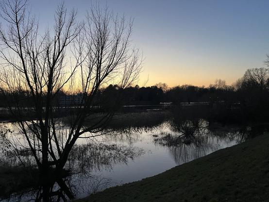 Die Elbe mit vollgelaufenen Wiesen in Richtung Westen aufgenommen. Der alte Deich teilt die Wasserfläche und das Bild. Darüber der dunkel werdende blaue Himmel und ein goldgelber Streifen letztes Sonnenlicht. Das Wasser spiegelt den Himmel und die Äste der Bäume am Ufer. Im Vordergrund steht ein großer kahler Strauch im Wasser und erscheint schwarz im Gegenlicht. Ein Gedanke an die blaue Stunde…