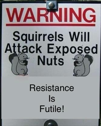 Picture a sign showing two squirrels holding nuts facing each other. The caption reads:
“Squirrels will attack Exposed nuts, Resistance is Futile !”

Credit: pinched from the interweb.