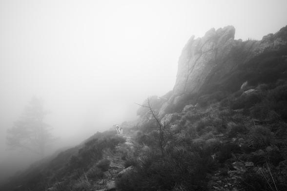 à côté d’un gigantesque rocher aux formes torturées et à moitié noyé dans la brume, le petit chien blanc et noir regarde vers le brouillard au bout d’un sentier tortueux