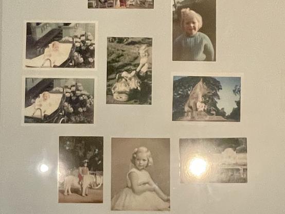 Portraits of Tilda Swinton