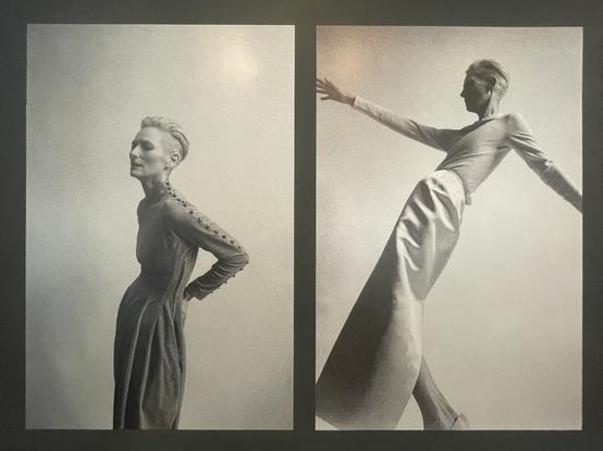 Portraits of Tilda Swinton