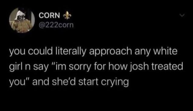 @333corn - you could literally approach any white girl n say 'i'm sorry for how josh treated you' and she'd start crying