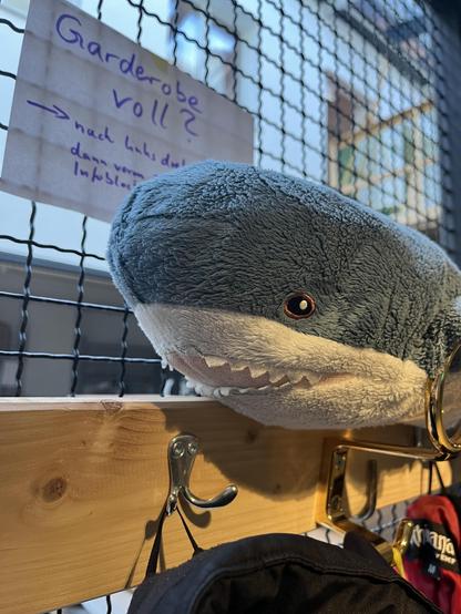 Der Hajner sitzt auf einem Kleiderhaken an einer Garderobe