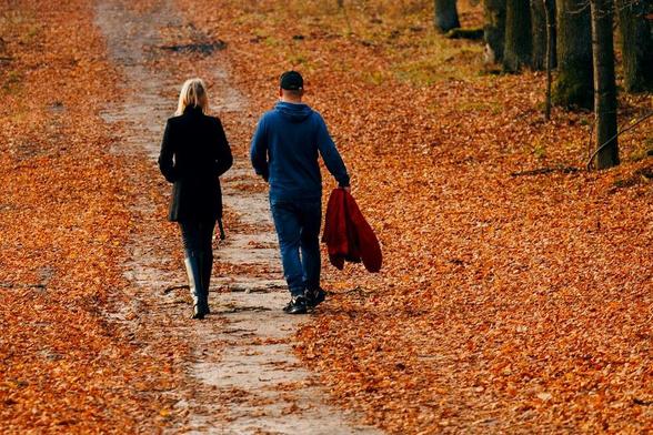 couple strolling in autumn forest pathway