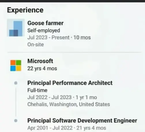 Section of a LinkedIn about someone's career. They worked at Microsoft for 22 years, then in July 2023 left to become a goose farmer.