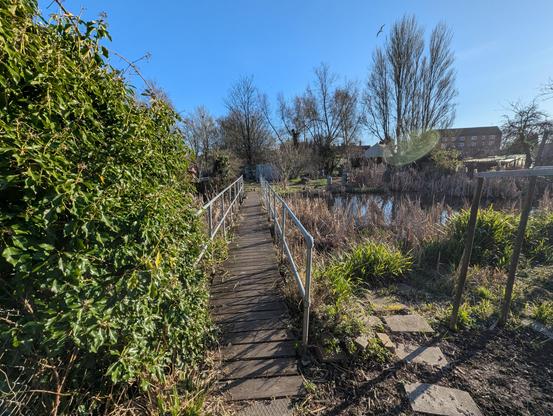 A wide-angle view approaching the final bridge across a pond which I have to cross before getting to my friend's plot. Three (or possibly four?) on the way (I'll be sure to count them next time I go) 🙂