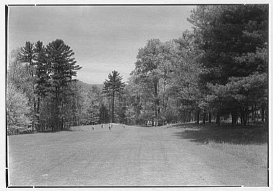 The image is a black and white photograph depicting a rural scene with tall trees lining the edges of what appears to be an open field or park. The foreground shows a flat, lightly textured area where a few individuals can be seen standing at some distance apart from each other, suggesting it's not crowded.
In the middle ground, there are more people who appear smaller due to perspective; they seem engaged in leisurely activities on grassy patches within this open space. The background features towering trees that dominate the skyline and cast shadows over parts of the field below them.
The sky is mostly clear with minimal cloud cover visible above the treetops, indicating fair weather conditions at the time when the photo was taken. This image captures a serene outdoor environment from an earlier period based on its black-and-white composition, which could be indicative of early to mid-20th-century photography styles.
Notable features include the natural setting with lush trees and open space suitable for recreational use, as well as historical context inferred by the quality of photograph. The individuals' attire is not clearly discernible due to distance but gives an impression of casual outdoor wear appropriate for leisure activities in a park-like area during that era.