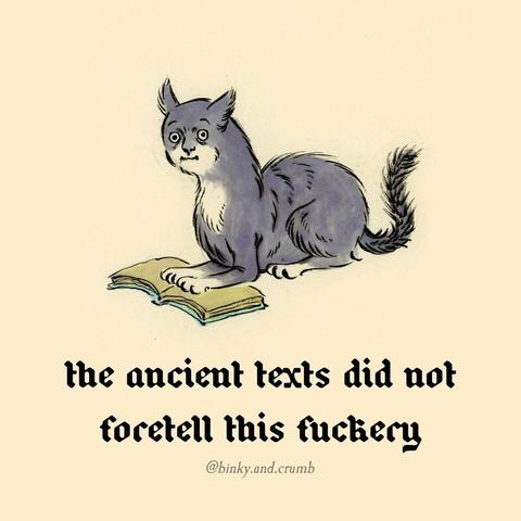 the ancient texts did not foretell this fuckery
Cartoon medieval cat with its front paws resting on a book