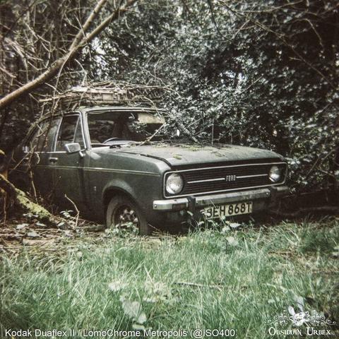 An overgrown dark green Ford car abandoned in a wooded area, photographed with a vintage film aesthetic.