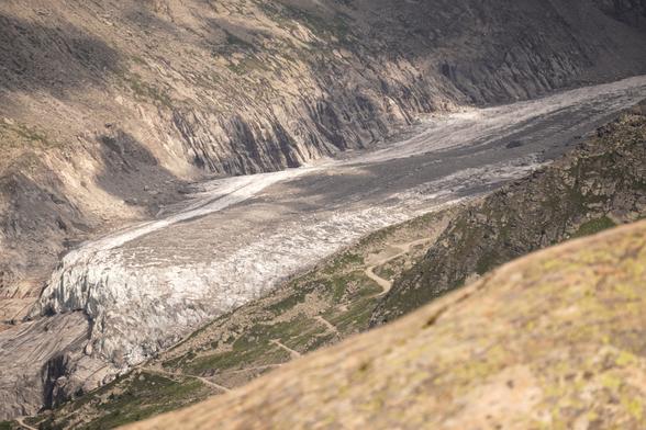 One of many glaciers in the Alps, terminating in its bed, and with a bed of dirt afterwards. The glacier, in July, has a lot of brown on it, though some white shows through.