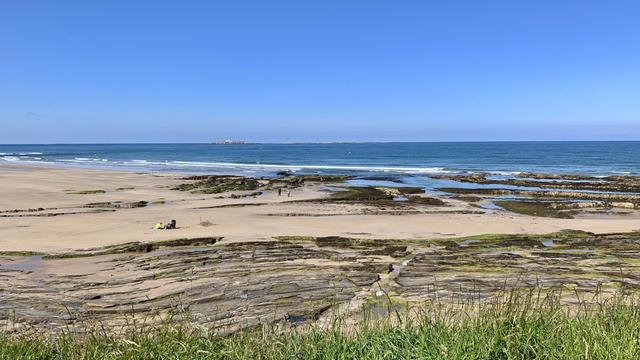 A sandy beach stretches out towards a calm blue sea under a clear sky, with gentle waves breaking near the shore. Flat rock formations, some covered in green seaweed, are scattered across the sand and extend into the water, creating shallow tidal pools. A few small groups of people are visible, walking along the shore or sitting on the sand, giving the wide landscape an open and tranquil feel. In the distance, low-lying islands rise from the sea, and the grassy edge in the foreground frames the beach scene.
