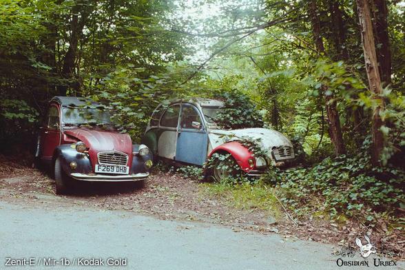 Two abandoned Citroën 2CV cars are overgrown in a forest setting. One car is red and black, while the other is multi-colored and covered in vines.