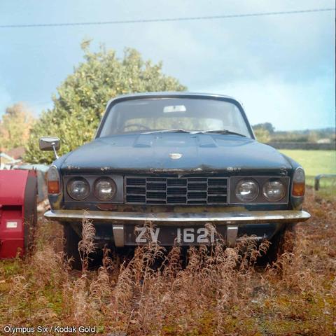 A front view of a dark blue, abandoned car, surrounded by dry weeds.