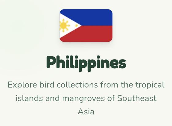 Text below an image of the flag of the Philippines:

Philippines

Explore bird collections from the tropical islands and mangroves of Southeast Asia