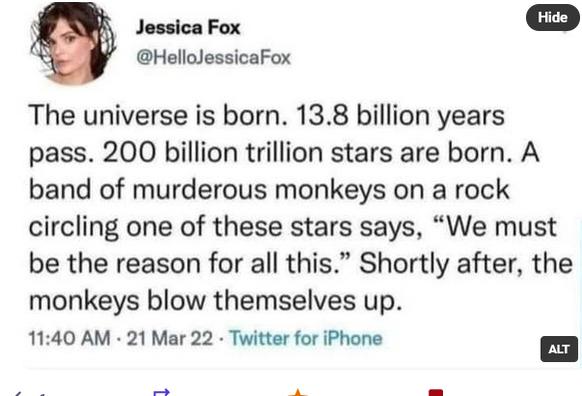 Hide
Jessica Fox
@HeIIoJessicaFox
The universe is born. 13.8 billion years
pass. 200 billion trillion stars are born. A
band of murderous monkeys on a rock
circling one of these stars says, "We must
be the reason for all this." Shortly after, the
monkeys blow themselves up.
11:40 AM β’ 21 Mar 22 β’ Twitter for iPhone