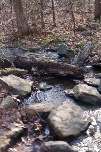 A stream on the backside of the lake about 1/4 mile in. I didn't think much of this shot when I took it but the contrast worked out nice.