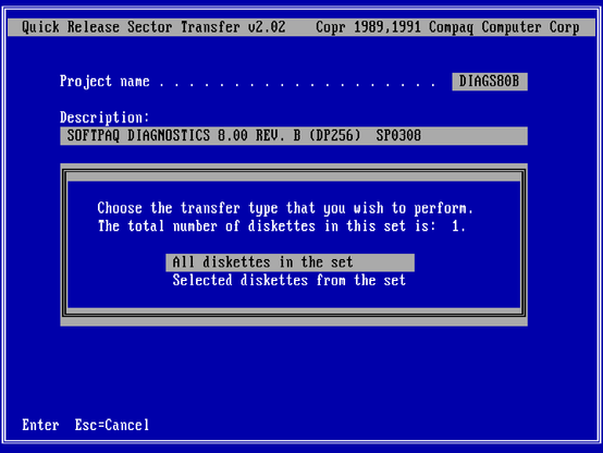 Choosing which disks to write to the physical drive.