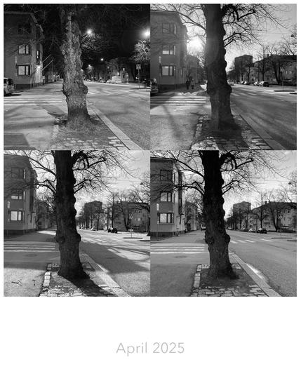 Four black-and-white photos show a tree on a street through varying weather in April 2025.
