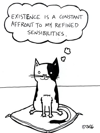 a black and white cat sits on top of a luxurious pillow and thinks "existence is a constant affront to my refined sensibilities."