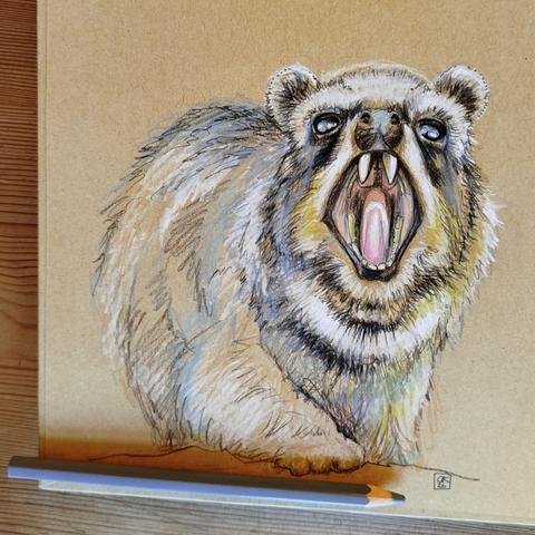 Rough sketch of a yawning rock hyrax.