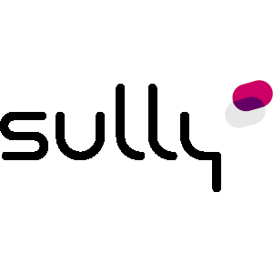 logo sully