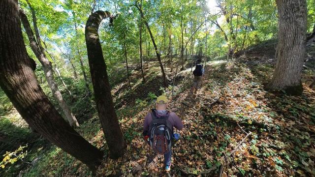 One of a series of photos taken during a hike through a deciduous forest in the Midwest region of the United States. It is mid-autumn, with mostly verdant greenery dominating the scene but yellowing leaves becoming more prominent. Where the sky can be seen through the trees, it is clear and blue, with the sun shining brightly. The park’s hiking trail winds up and down the hilly terrain, occasionally passing over small streams on stone pedestrian bridges. At points the trail parallels a river, crosses a paved road, and is built with railroad tie steps. The two hikers seen in most of these photos are very happy to be exploring this beautiful scenery.